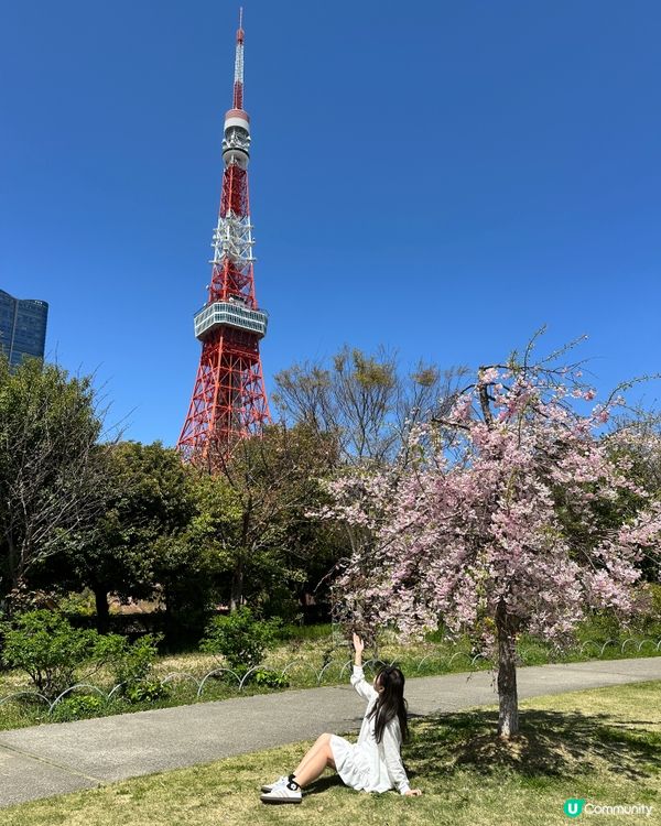 櫻花下的東京鐵塔🗼🌸