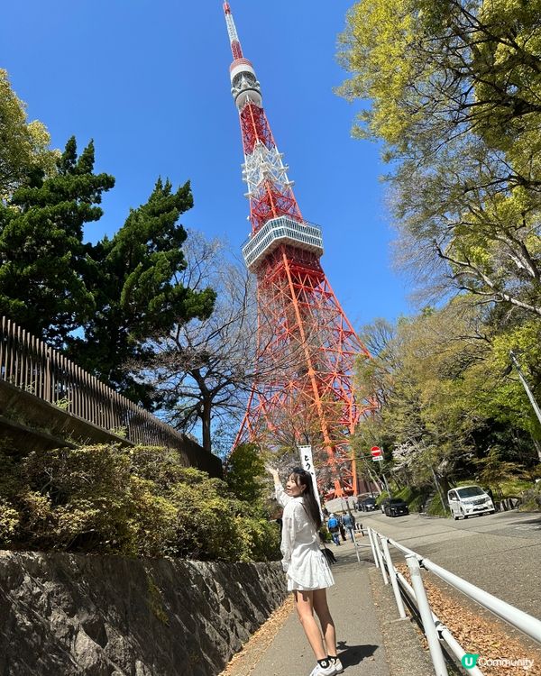 櫻花下的東京鐵塔🗼🌸