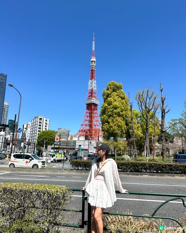 櫻花下的東京鐵塔🗼🌸