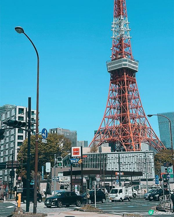 櫻花下的東京鐵塔🗼🌸