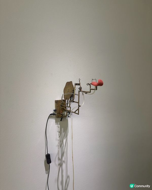 沉浸式感官盛宴！🤩《感官怪奇:走進的世界》等你探索！