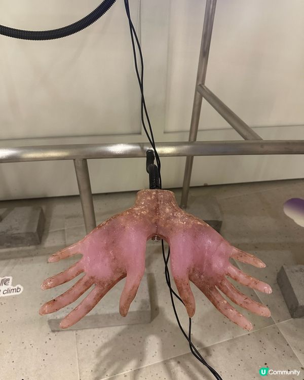 倫敦爆紅展覽登陸香港！🤩 感官怪奇，體驗聲音嘅魔力！🎧