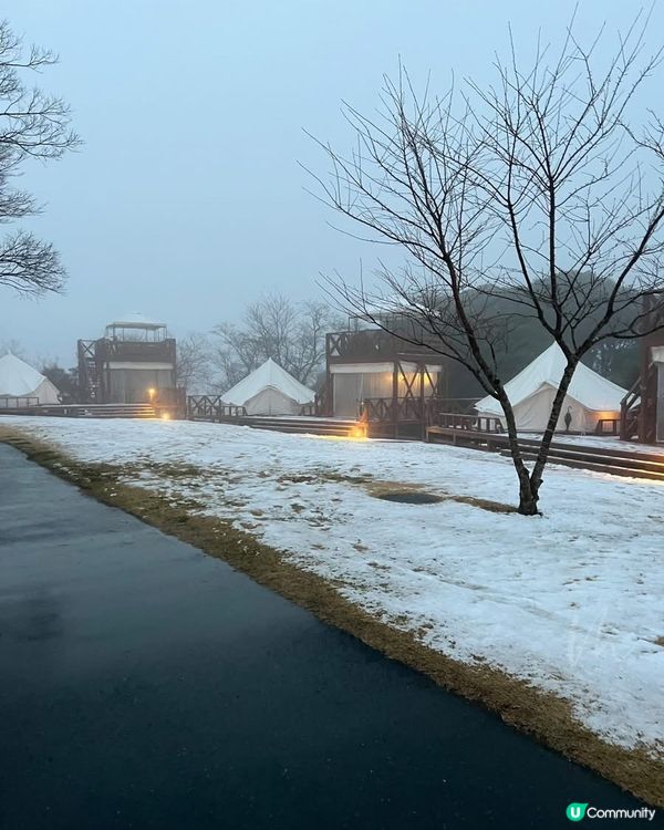 東京｜Mother Farm (住宿篇)