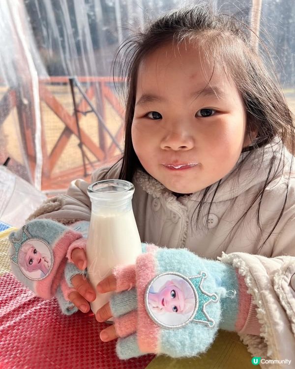 東京｜Mother Farm (住宿篇)