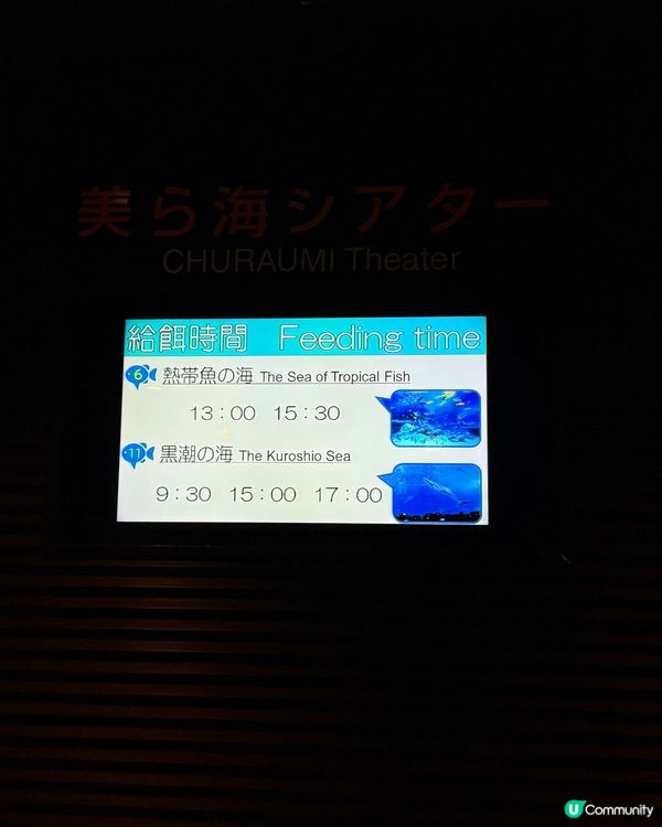 沖繩必去！美海水族館攻略 🐠