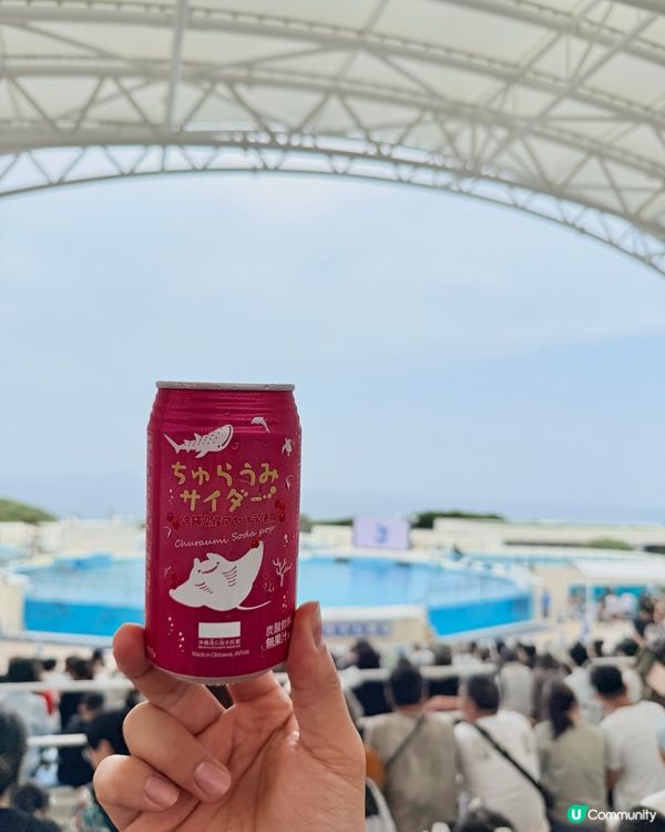 沖繩必去！美海水族館攻略 🐠