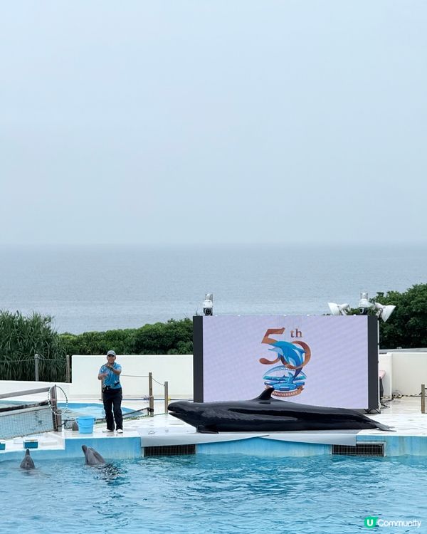 沖繩必去！美海水族館攻略 🐠