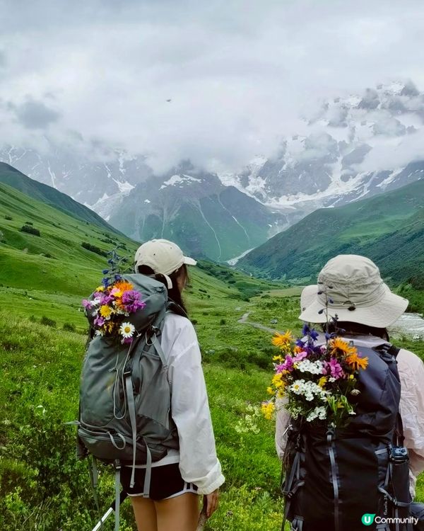 雨季浪漫💕雪山野外求生🌿🏔️