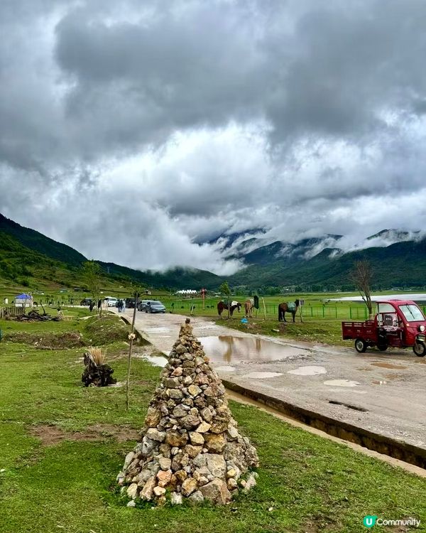 雨季浪漫💕雪山野外求生🌿🏔️