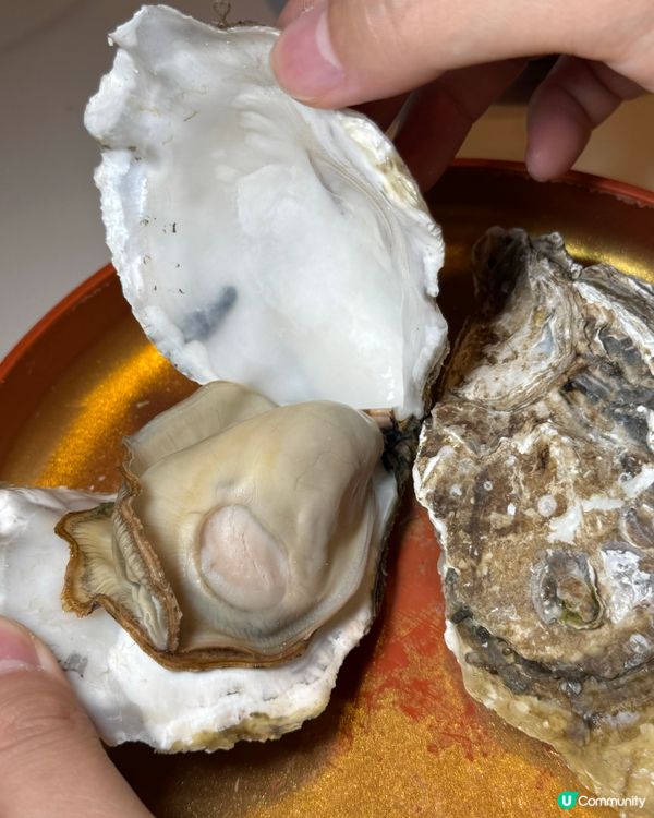 ｛深圳和牛榴槤生蠔218吃回本}