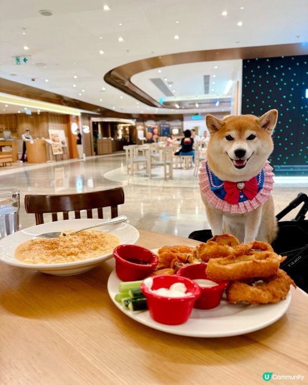 🥓🧀帶毛孩食美式肥仔餐🍟🍖