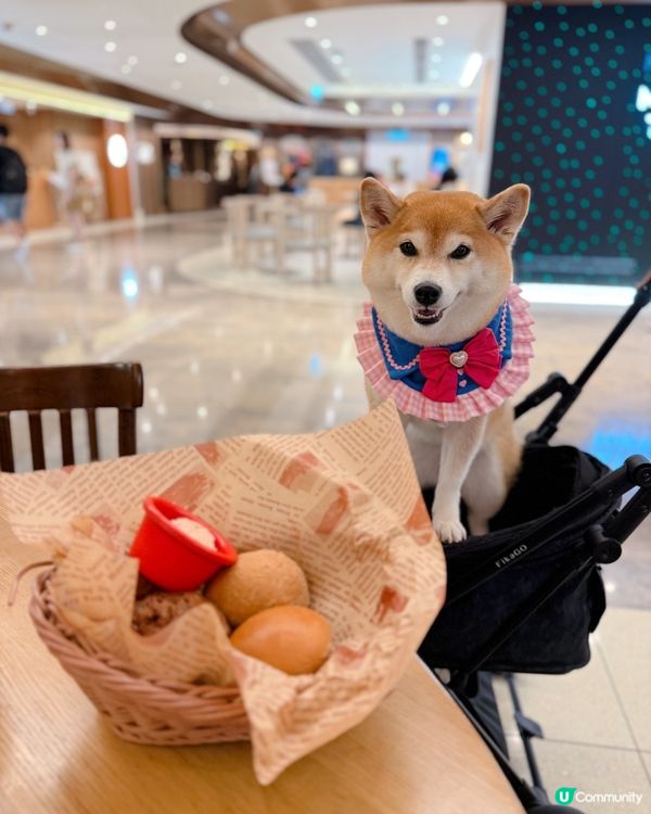 🥓🧀帶毛孩食美式肥仔餐🍟🍖