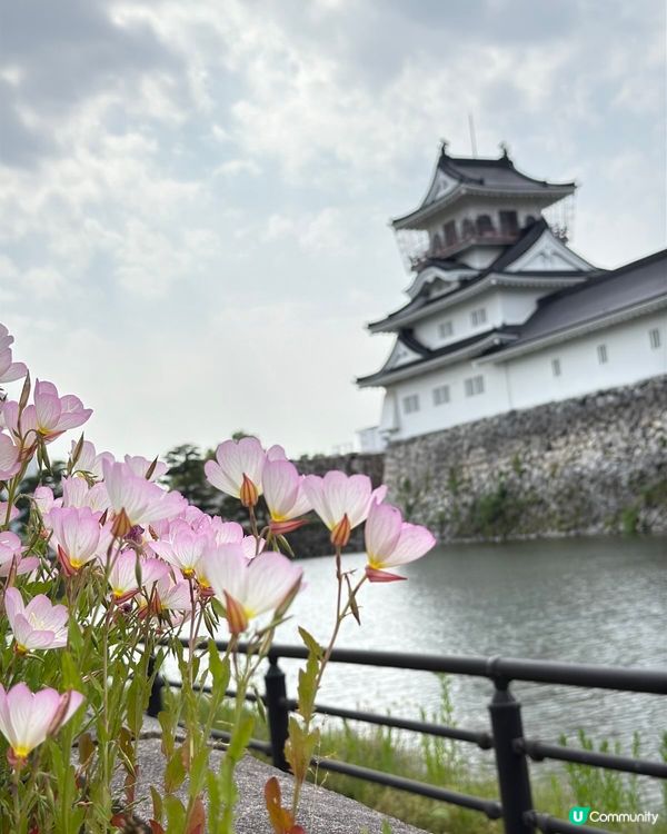 富山城址公園🏯  打卡必去！