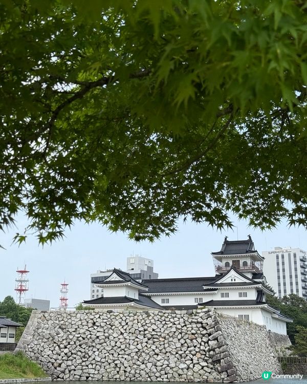 富山城址公園🏯  打卡必去！