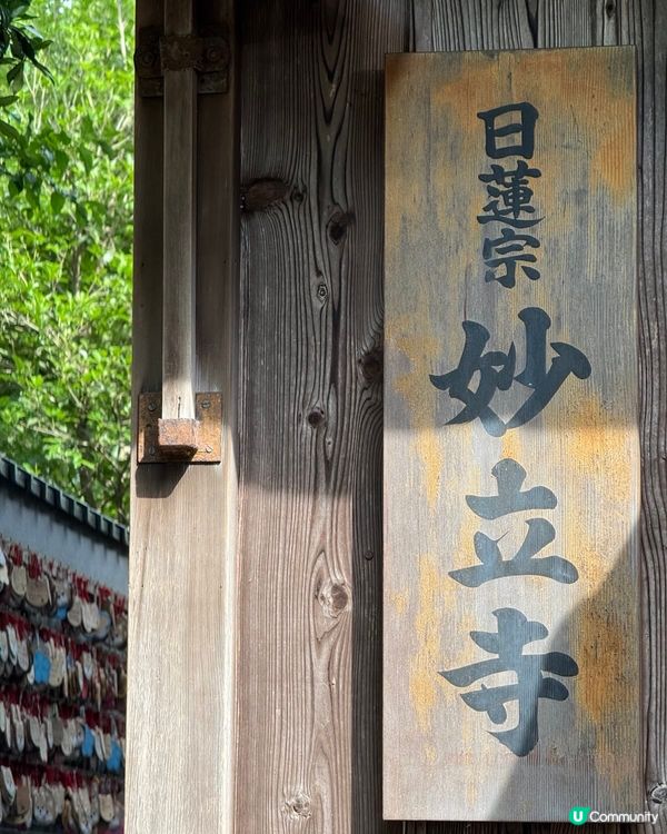 金澤忍者寺🏯妙立寺，可愛狗狗擺設🐶