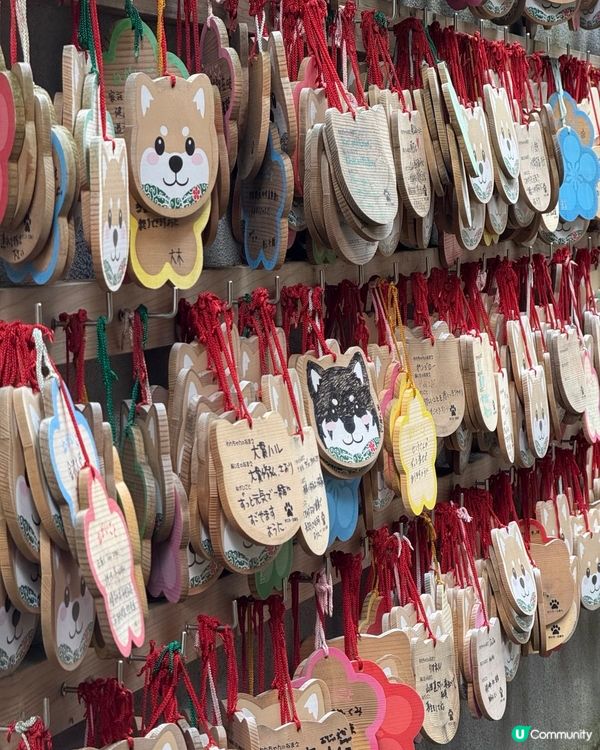 金澤忍者寺🏯妙立寺，可愛狗狗擺設🐶