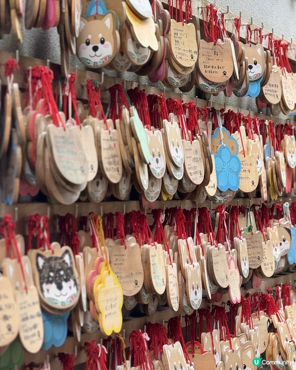 金澤忍者寺🏯妙立寺，可愛狗狗擺設🐶