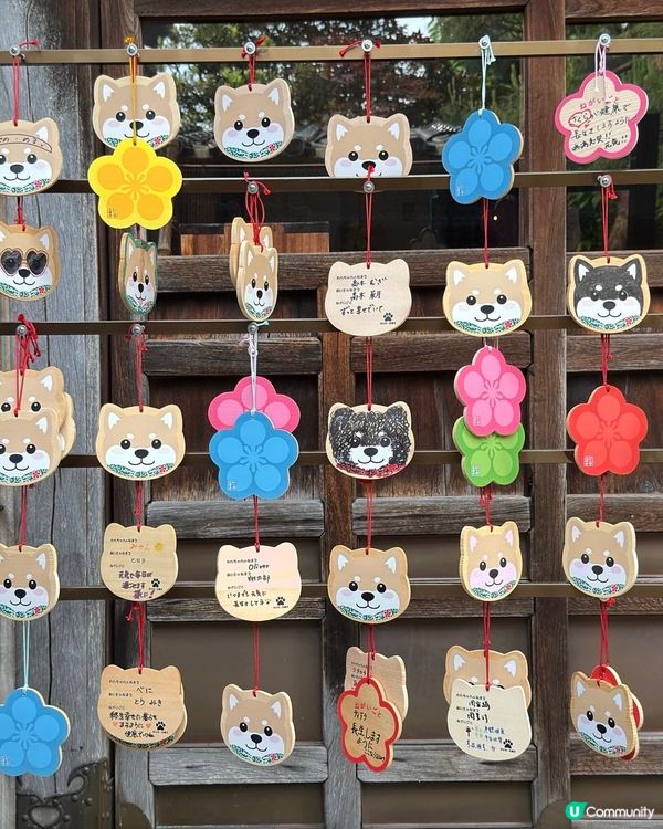 金澤忍者寺🏯妙立寺，可愛狗狗擺設🐶