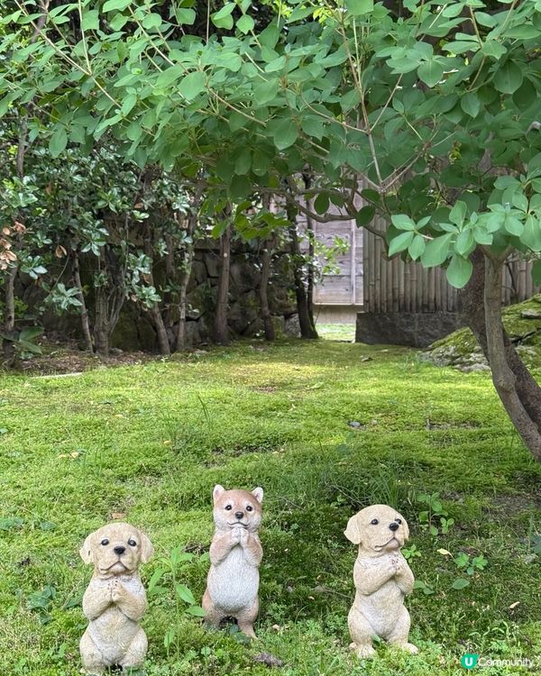 金澤忍者寺🏯妙立寺，可愛狗狗擺設🐶