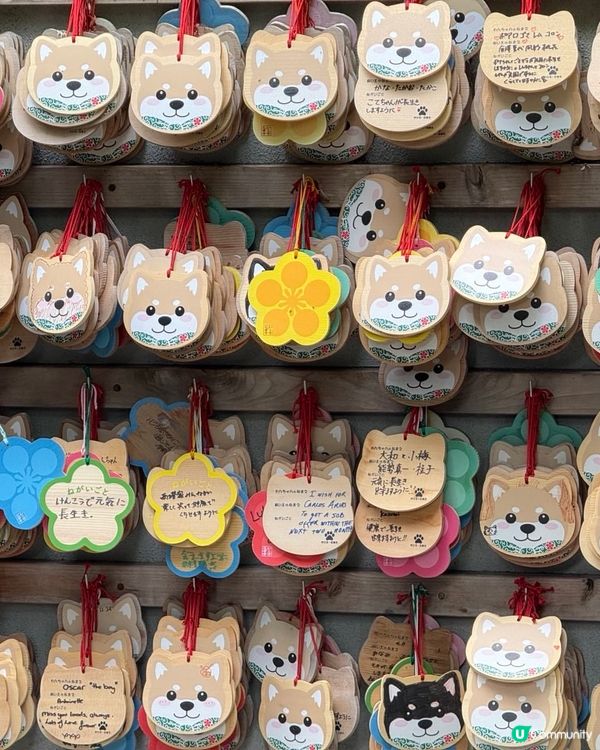 金澤忍者寺🏯妙立寺，可愛狗狗擺設🐶