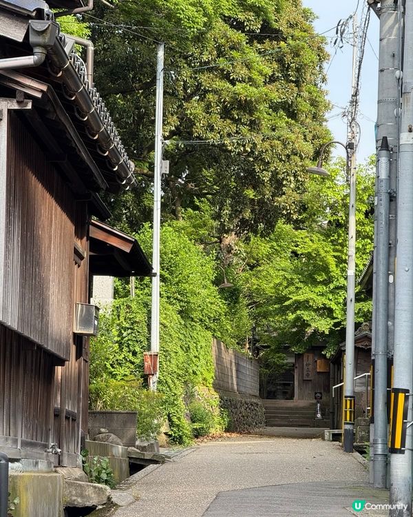 金澤忍者寺🏯妙立寺，可愛狗狗擺設🐶