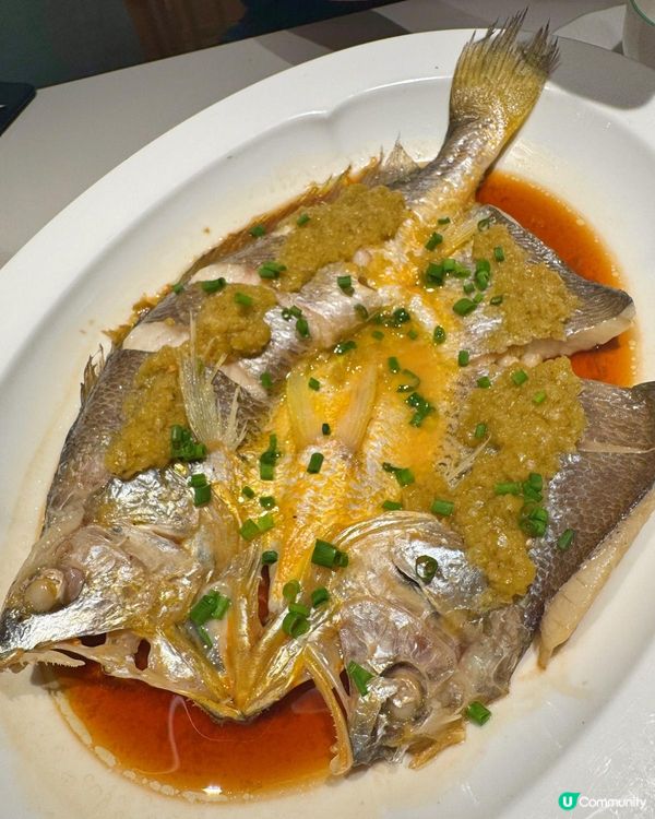 銅鑼灣內地過江龍～綠茶🍵  