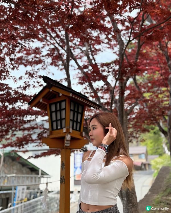 一覽無遺的富士山🗻