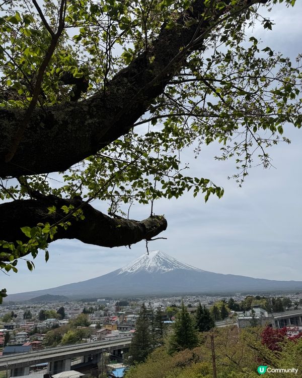 一覽無遺的富士山🗻