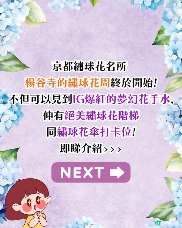 京都楊谷寺繡球花活動登場❗5000株絕美花海/花手水發源地/夢幻階梯打卡🪻附交通/門票價格