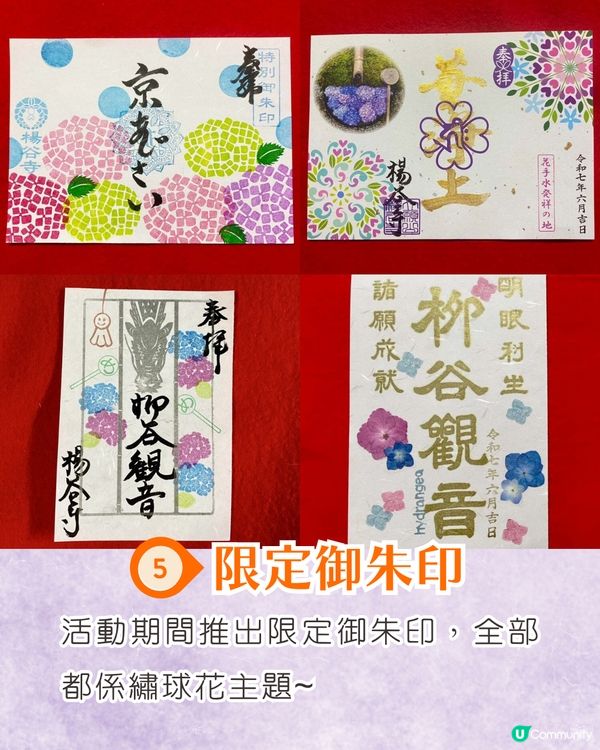 京都楊谷寺繡球花活動登場❗5000株絕美花海/花手水發源地/夢幻階梯打卡🪻附交通/門票價格