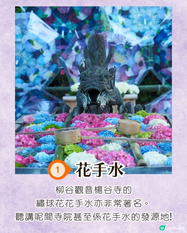 京都楊谷寺繡球花活動登場❗5000株絕美花海/花手水發源地/夢幻階梯打卡🪻附交通/門票價格