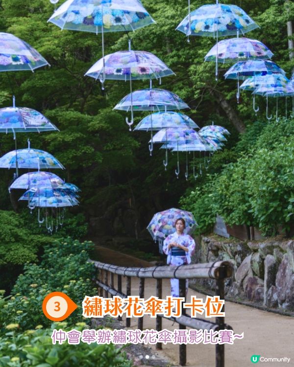 京都楊谷寺繡球花活動登場❗5000株絕美花海/花手水發源地/夢幻階梯打卡🪻附交通/門票價格