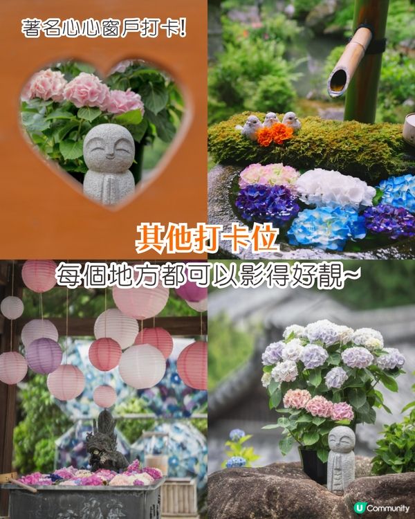 京都楊谷寺繡球花活動登場❗5000株絕美花海/花手水發源地/夢幻階梯打卡🪻附交通/門票價格