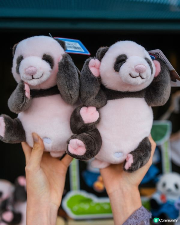 尖東星光大道一連9日,熱鬧狂歡🎉｢龍舟嘉年華｣