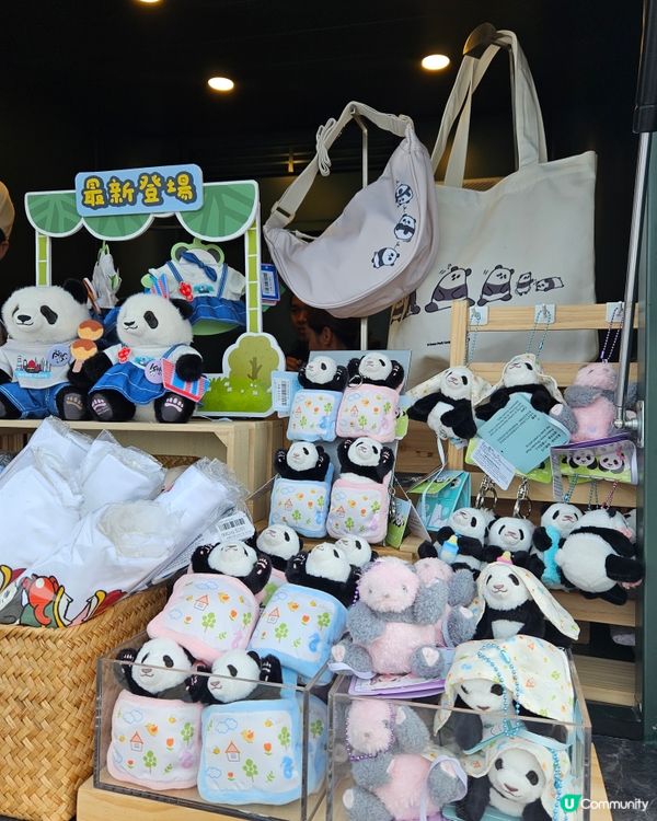 海洋公園萌熊🐼星光大道期間限定店！🤩