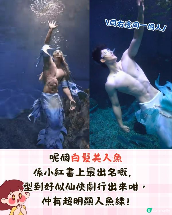 內地水族館推出「美男魚秀」🧜‍♂️猛男水底爆衫騷肌極性感😍附廣州/深圳男美人魚秀3大地點