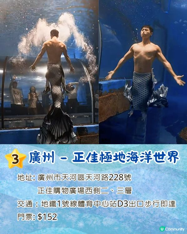內地水族館推出「美男魚秀」🧜‍♂️猛男水底爆衫騷肌極性感😍附廣州/深圳男美人魚秀3大地點