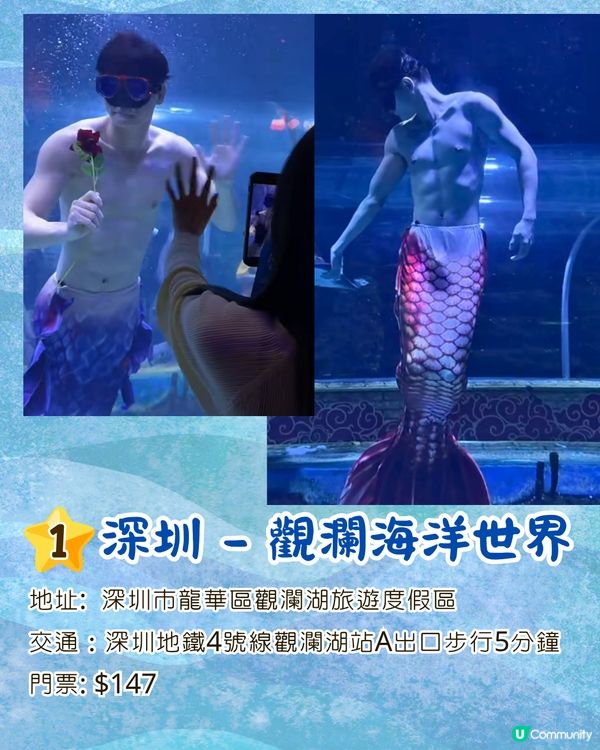 內地水族館推出「美男魚秀」🧜‍♂️猛男水底爆衫騷肌極性感😍附廣州/深圳男美人魚秀3大地點