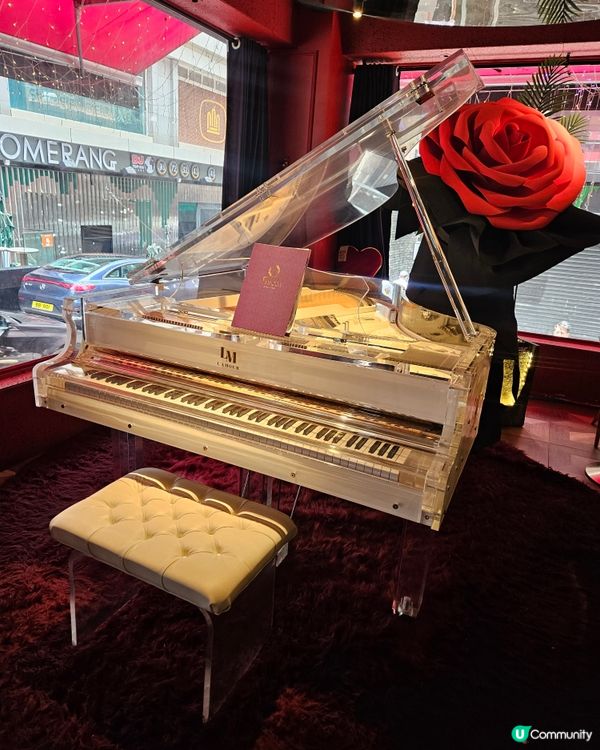 蘭桂坊浪漫法式晚餐 🥂✨