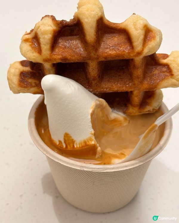 🇰🇷韓國藍瓶子Blue Bottle 窩夫版嘅雪糕+濃縮