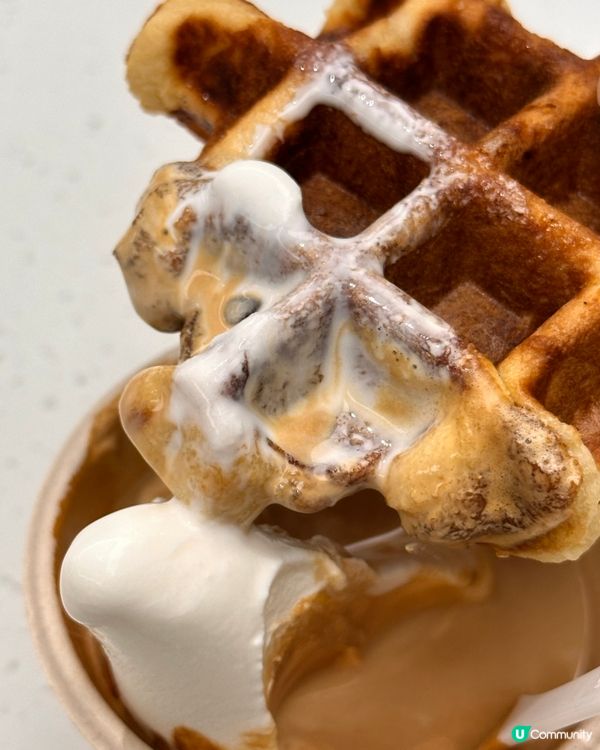 🇰🇷韓國藍瓶子Blue Bottle 窩夫版嘅雪糕+濃縮