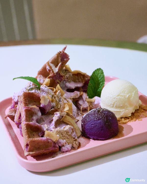 千個網球打卡牆 . 啟德好去處