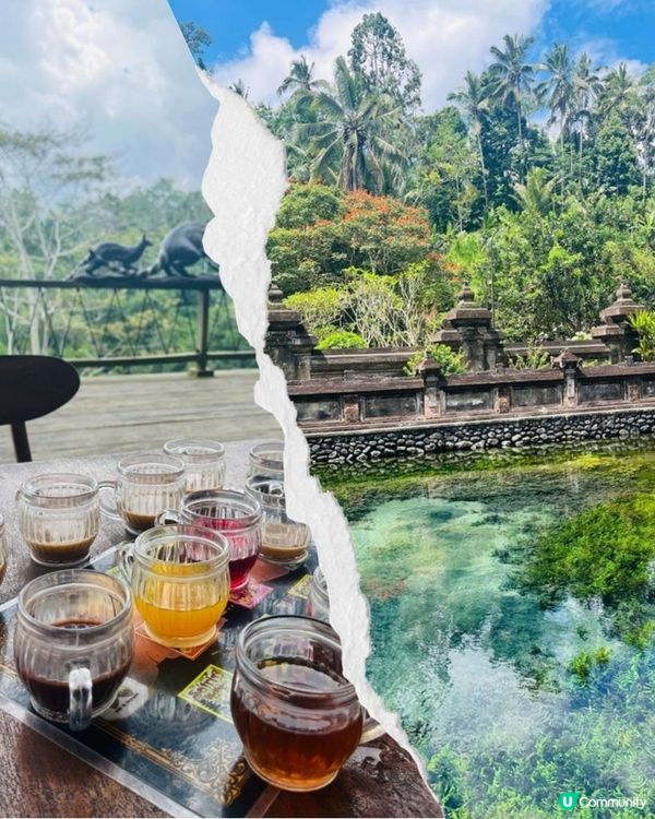 峇里島Bali - Ubud烏布一日遊