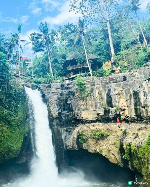 峇里島Bali - Ubud烏布一日遊