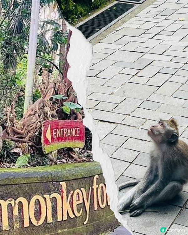 峇里島Bali - Ubud烏布一日遊