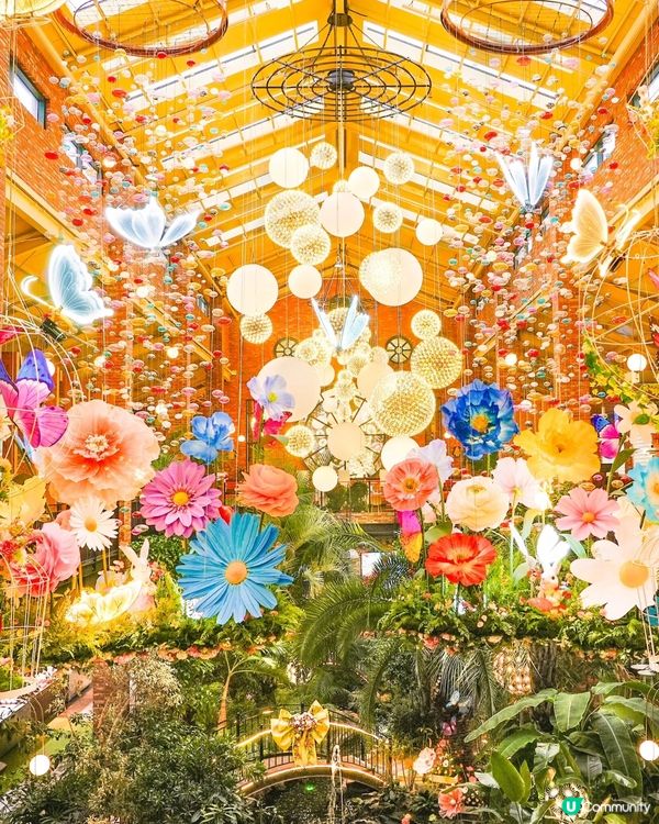 高陽店打卡必去🌳  - 首爾近郊最靚森林系咖啡廳