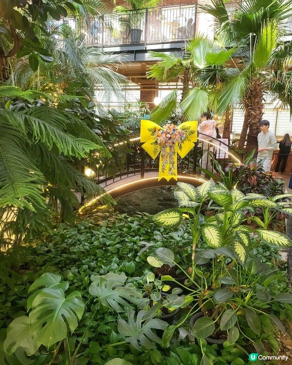 高陽店打卡必去🌳  - 首爾近郊最靚森林系咖啡廳