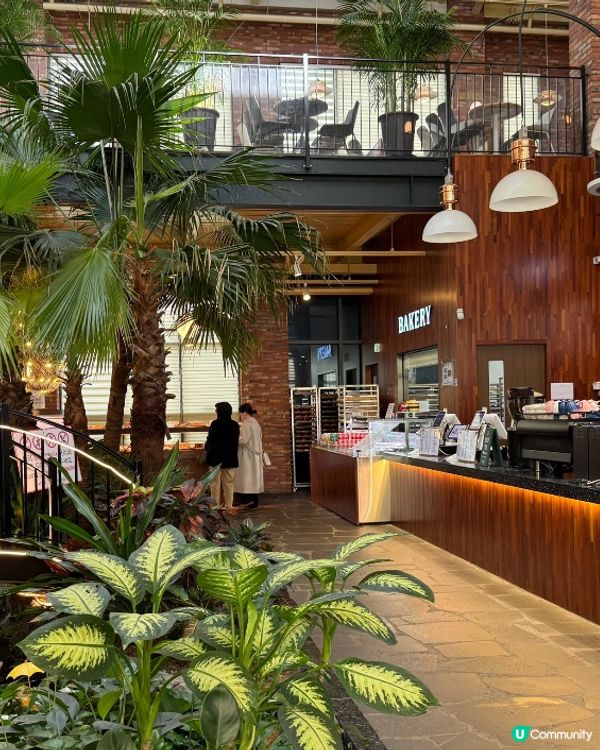 高陽店打卡必去🌳  - 首爾近郊最靚森林系咖啡廳