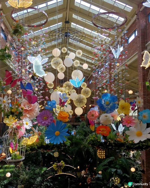 高陽店打卡必去🌳  - 首爾近郊最靚森林系咖啡廳