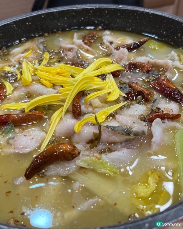 [勞蘇食]相當抵食好味酸菜魚🌶️